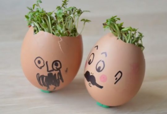 فیلم آموزش تخم مرغ های سبزه دار برای عید