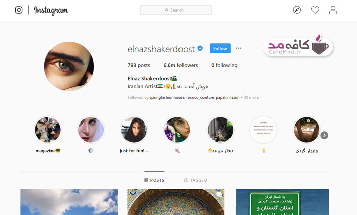 پرفالوورترین چهره‌های ایرانی در اینستاگرام