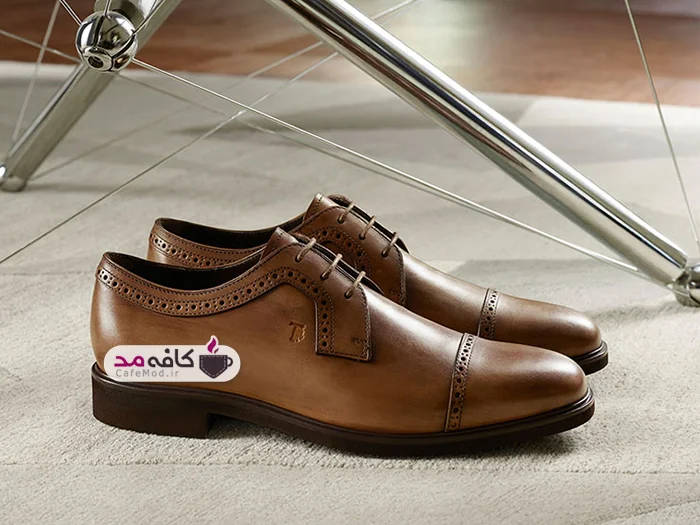 مدل کفش مردانه TODS
