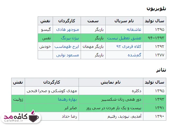 بیوگرافی مهناز افشار