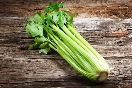 کرفس و تاثیرات آن در لاغری 2