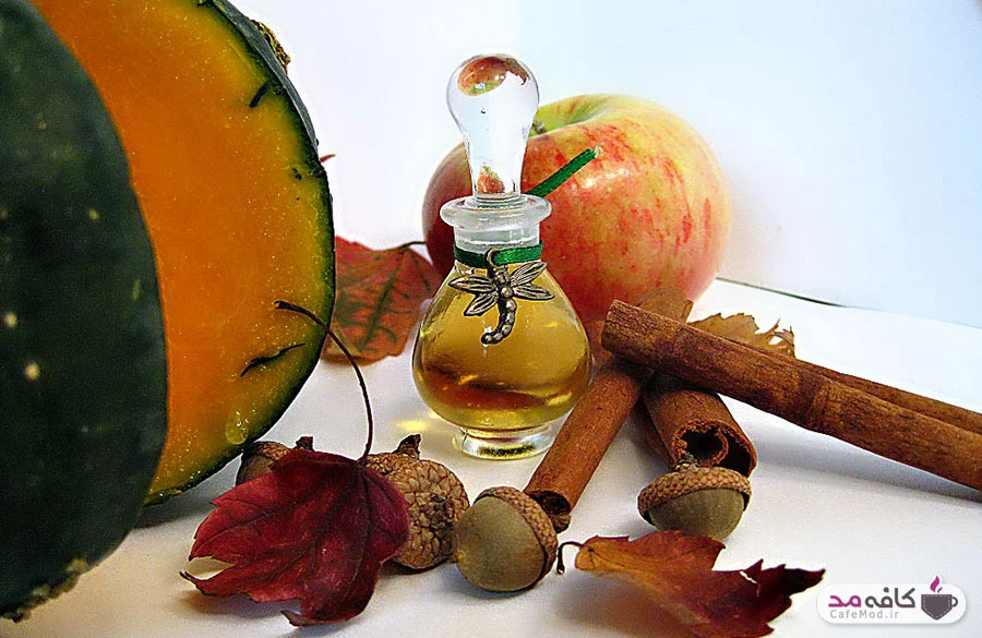 راهنمای خرید عطر برای روزهای خنک پاییز و زمستان