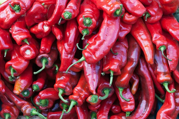 فلفل تند یا شیرین
