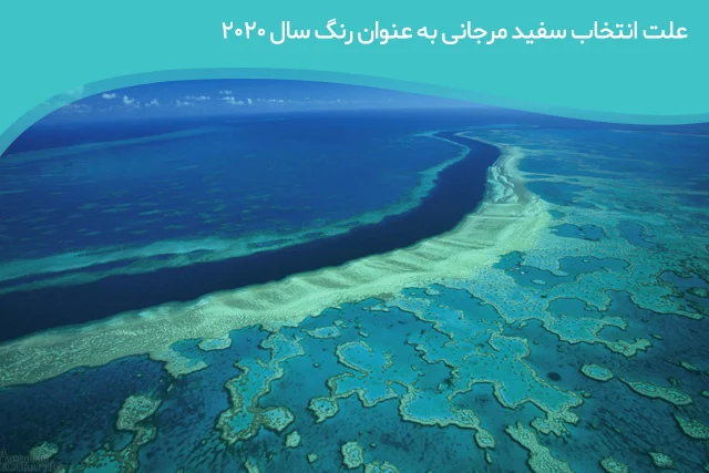 رنگ سال ۲۰۲۰ چه رنگی است؟