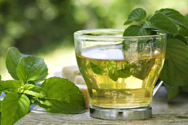 جوشانده برای هضم غذا