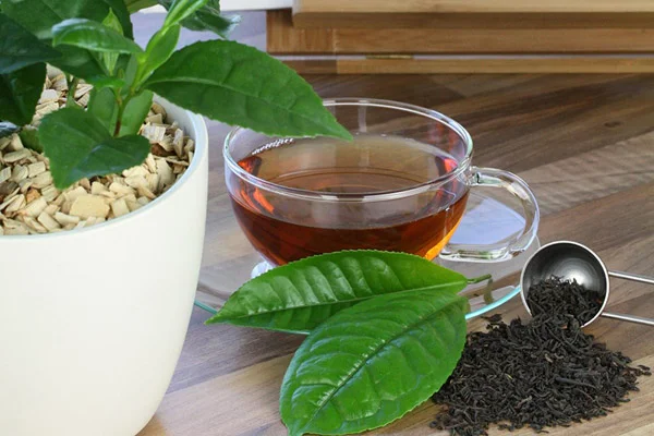 جوشانده برای هضم غذا